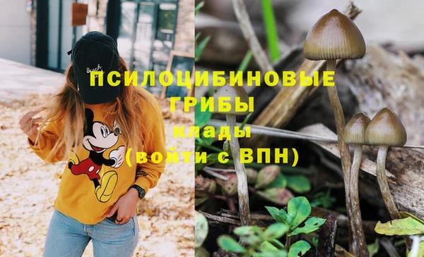 винт Шадринск