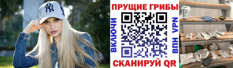 Псилоцибиновые грибы Cubensis  ссылка на мегу зеркало  Калачинск 