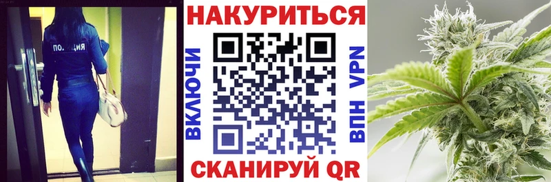 продажа наркотиков  Калачинск  МАРИХУАНА сатива 